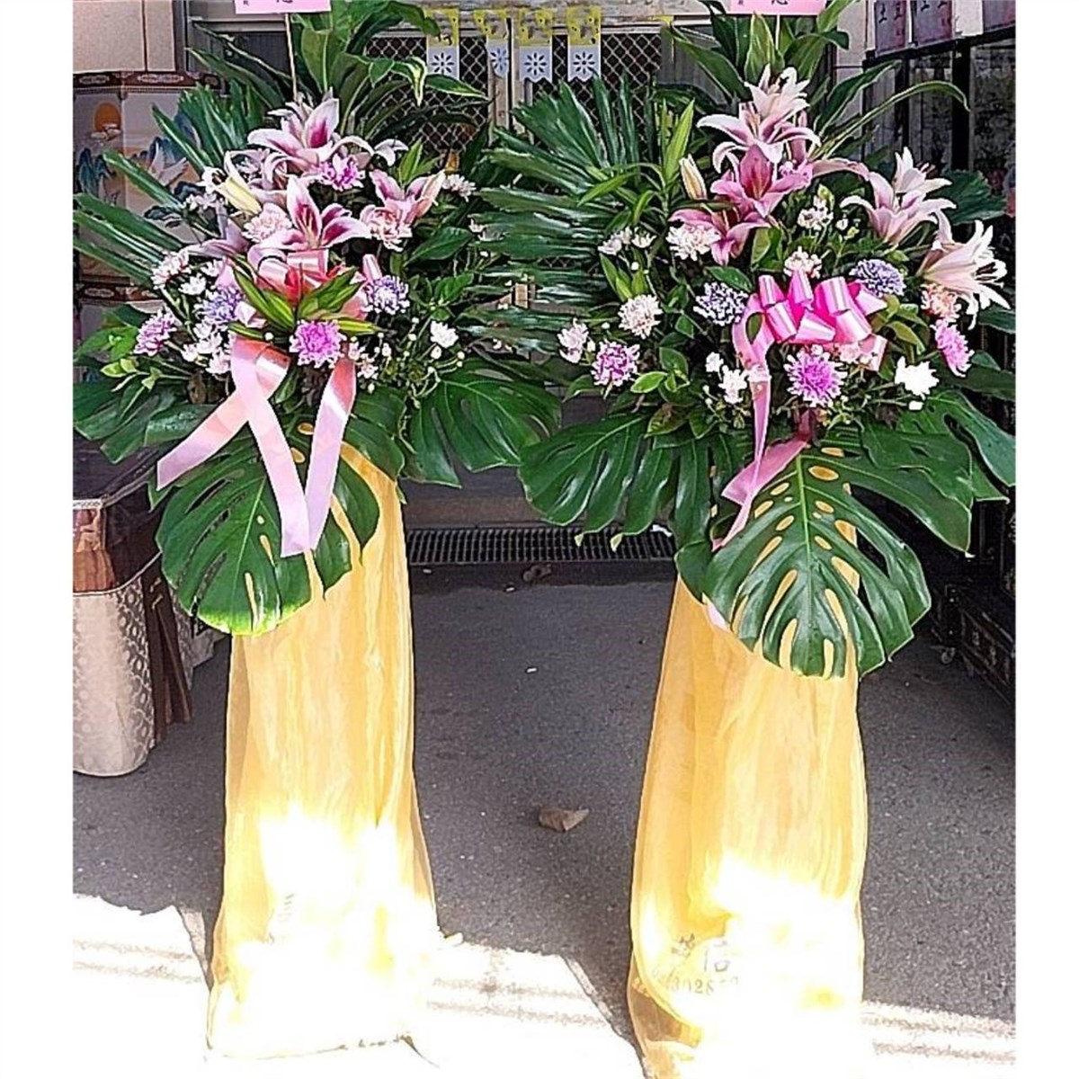 高架花藍A01