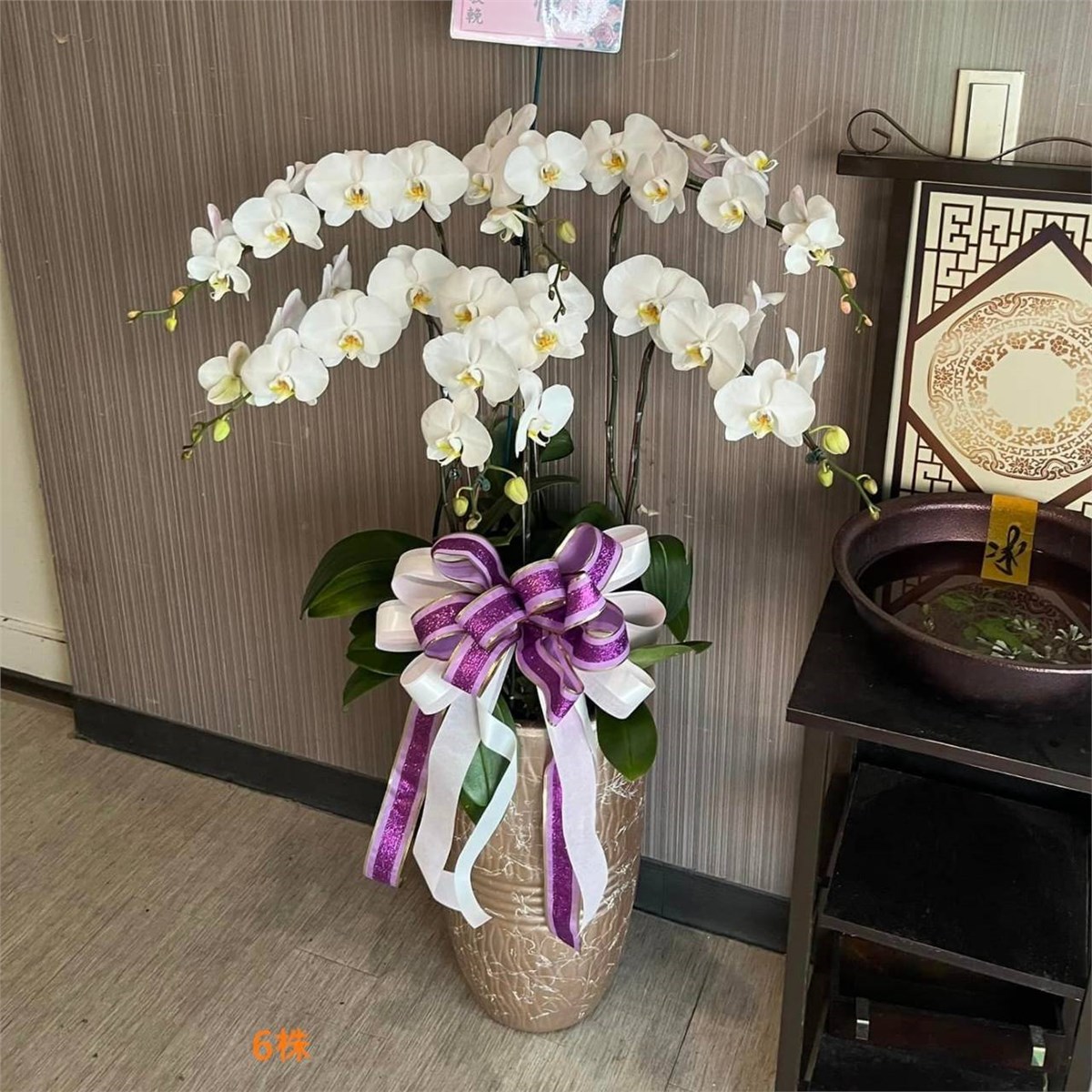 6株白色蘭花