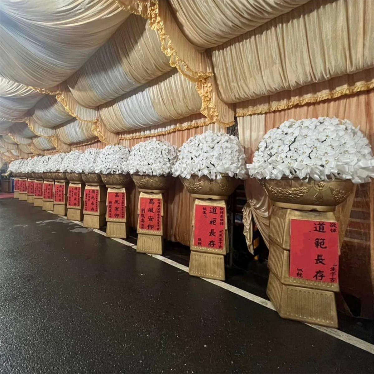 巨無霸蘭花球-出租蘭花(限桃園/中壢殯儀館-安靈14天內)