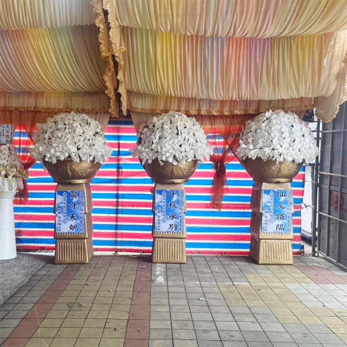 巨無霸蘭花球-出租蘭花(限桃園/中壢殯儀館-安靈14天內)