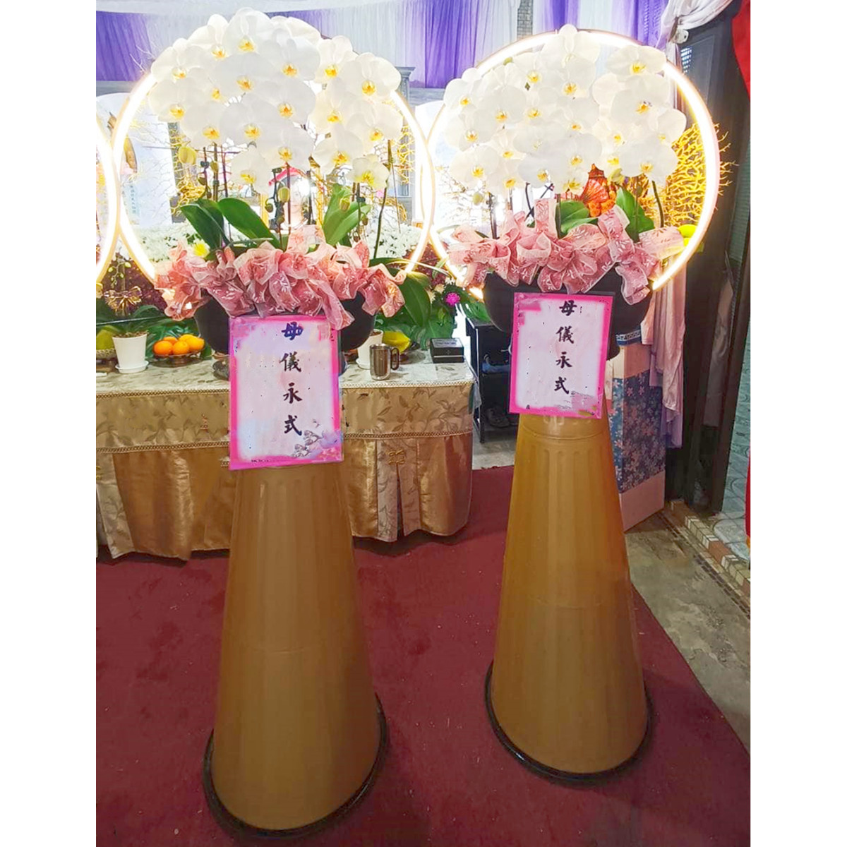 租用日光燈蘭花
