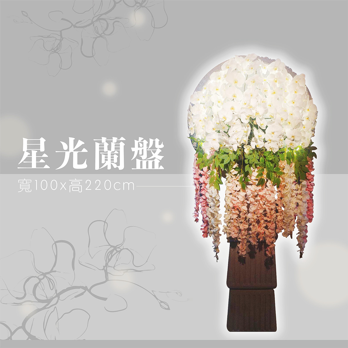 星光蘭盤(租用) (限館內/安靈14天內)